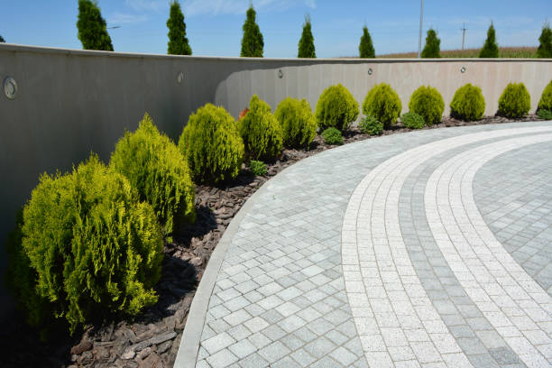 Best Local Driveway Pavers  in Quarryville, PA